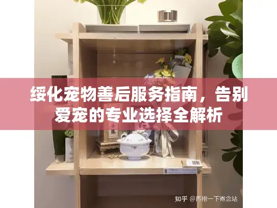 绥化宠物善后服务指南，告别爱宠的专业选择全解析