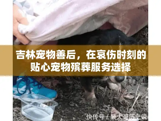 吉林宠物善后，在哀伤时刻的贴心宠物殡葬服务选择