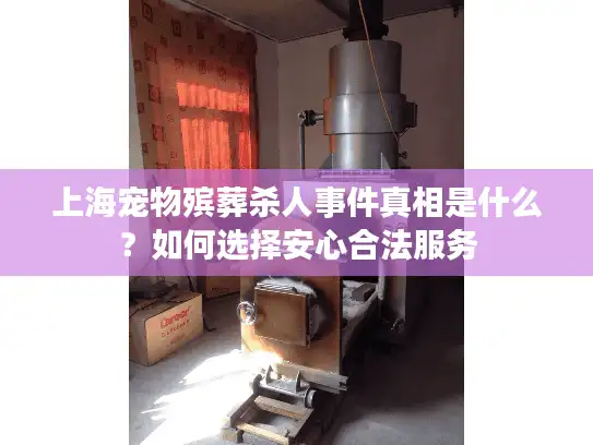 上海宠物殡葬杀人事件真相是什么？如何选择安心合法服务