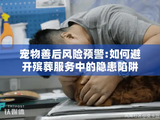 宠物善后风险预警:如何避开殡葬服务中的隐患陷阱