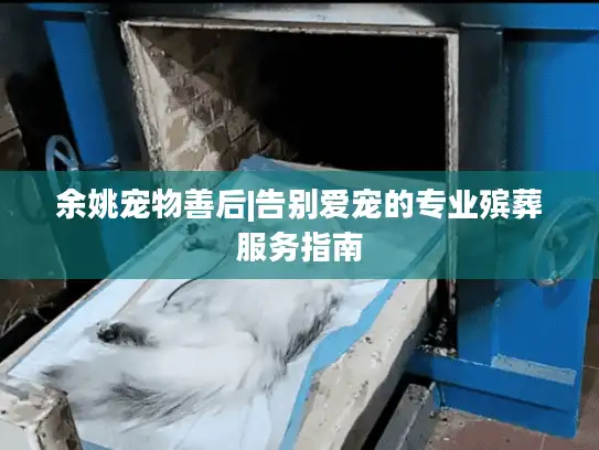 余姚宠物善后|告别爱宠的专业殡葬服务指南