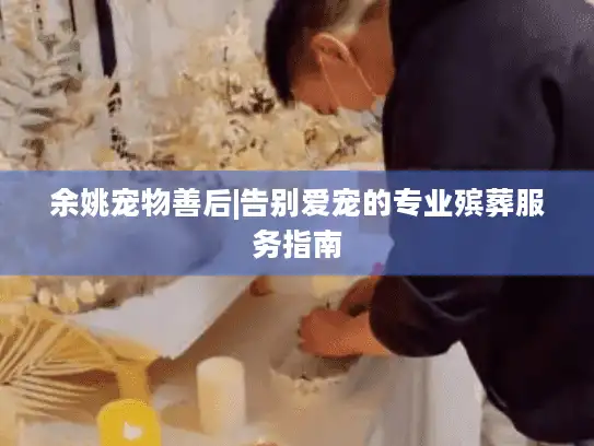 余姚宠物善后|告别爱宠的专业殡葬服务指南