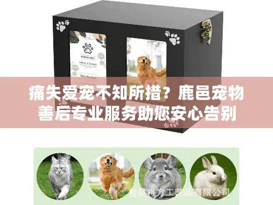 痛失爱宠不知所措？鹿邑宠物善后专业服务助您安心告别