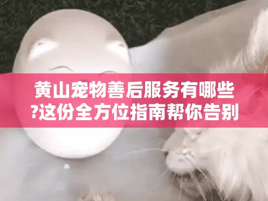 黄山宠物善后服务有哪些?这份全方位指南帮你告别手足无措