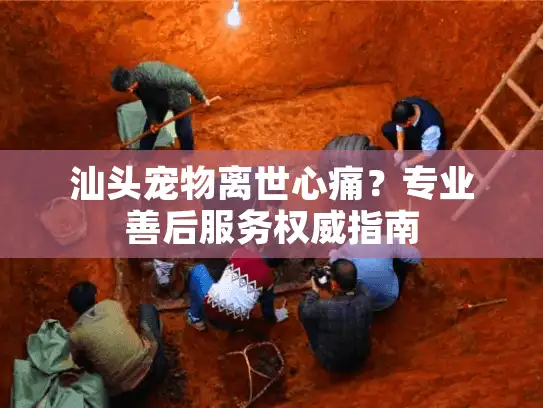 汕头宠物离世心痛？专业善后服务权威指南