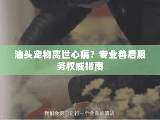 汕头宠物离世心痛？专业善后服务权威指南
