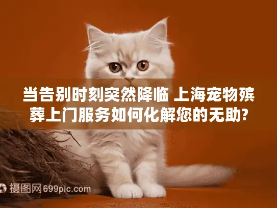 当告别时刻突然降临 上海宠物殡葬上门服务如何化解您的无助?