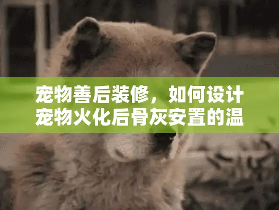 宠物善后装修，如何设计宠物火化后骨灰安置的温馨纪念空间？