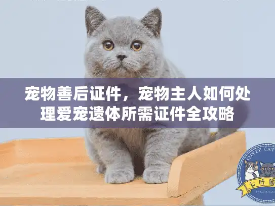 宠物善后证件，宠物主人如何处理爱宠遗体所需证件全攻略
