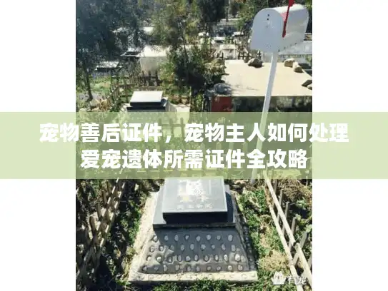 宠物善后证件，宠物主人如何处理爱宠遗体所需证件全攻略