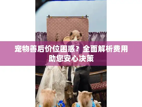 宠物善后价位困惑？全面解析费用助您安心决策