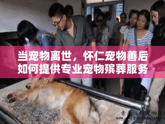 当宠物离世，怀仁宠物善后如何提供专业宠物殡葬服务？