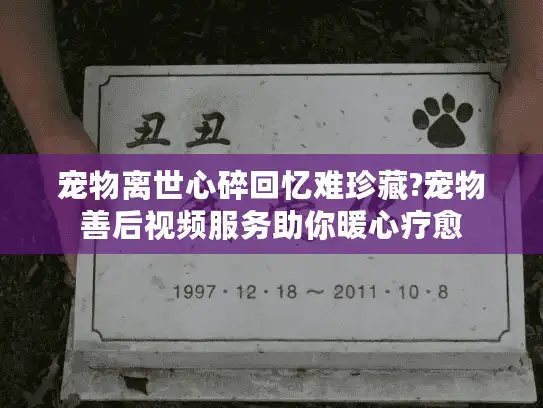 宠物离世心碎回忆难珍藏?宠物善后视频服务助你暖心疗愈
