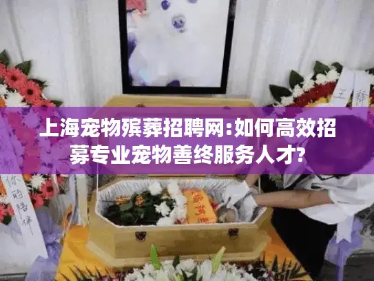 上海宠物殡葬招聘网:如何高效招募专业宠物善终服务人才?