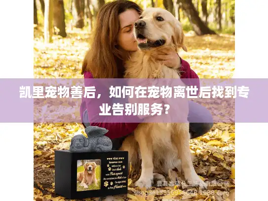 凯里宠物善后，如何在宠物离世后找到专业告别服务？