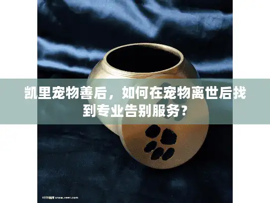 凯里宠物善后，如何在宠物离世后找到专业告别服务？