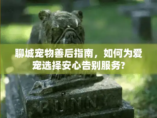 聊城宠物善后指南，如何为爱宠选择安心告别服务?