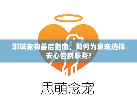 聊城宠物善后指南，如何为爱宠选择安心告别服务?