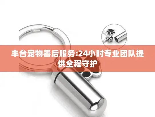 丰台宠物善后服务:24小时专业团队提供全程守护