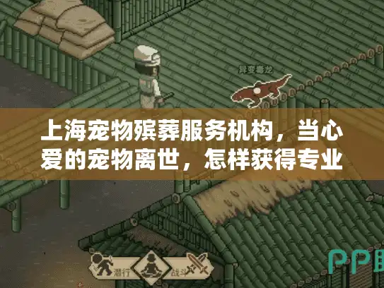 上海宠物殡葬服务机构，当心爱的宠物离世，怎样获得专业关怀？