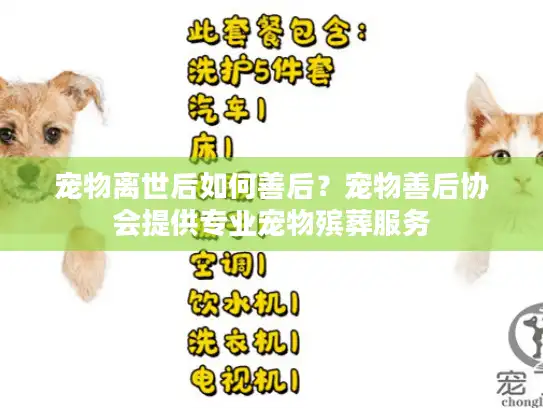 宠物离世后如何善后？宠物善后协会提供专业宠物殡葬服务