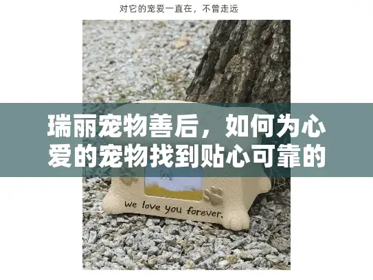 瑞丽宠物善后，如何为心爱的宠物找到贴心可靠的告别服务？