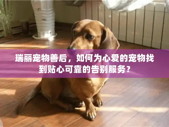 瑞丽宠物善后，如何为心爱的宠物找到贴心可靠的告别服务？