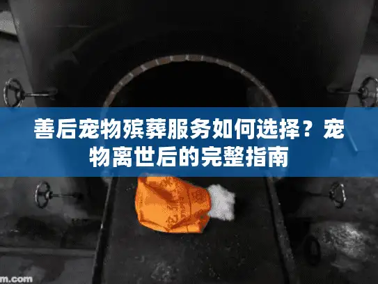 善后宠物殡葬服务如何选择？宠物离世后的完整指南