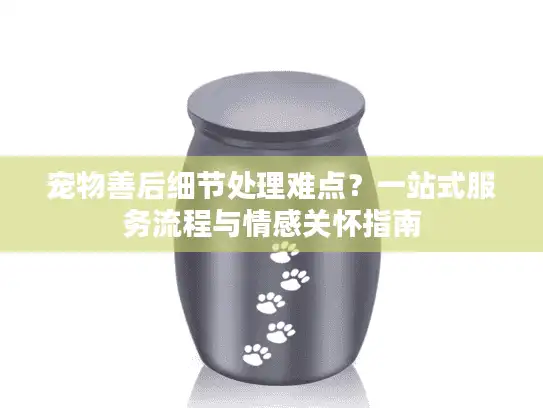 宠物善后细节处理难点？一站式服务流程与情感关怀指南