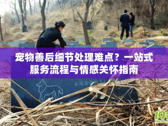 宠物善后细节处理难点？一站式服务流程与情感关怀指南