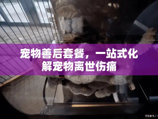 宠物善后套餐，一站式化解宠物离世伤痛