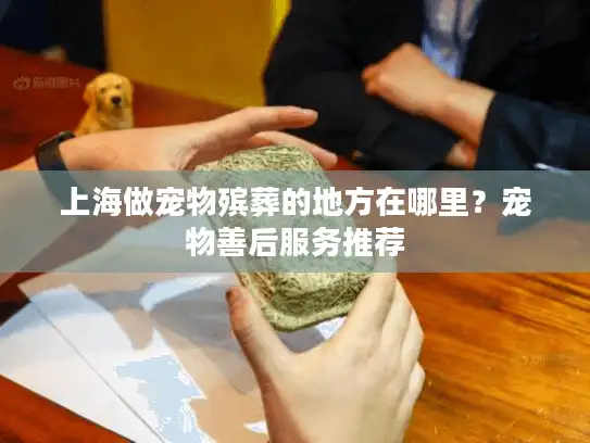 上海做宠物殡葬的地方在哪里？宠物善后服务推荐
