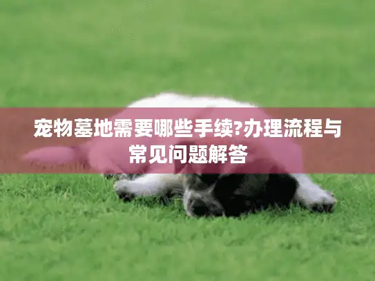 宠物墓地需要哪些手续?办理流程与常见问题解答