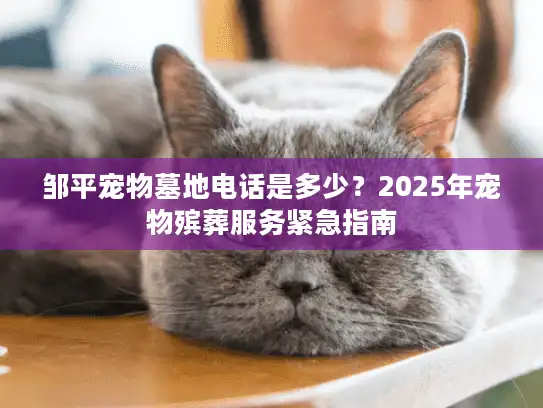 邹平宠物墓地电话是多少？2025年宠物殡葬服务紧急指南