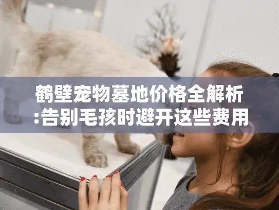 鹤壁宠物墓地价格全解析:告别毛孩时避开这些费用陷阱