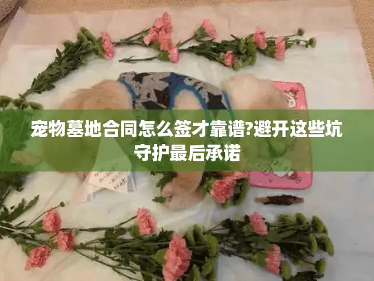 宠物墓地合同怎么签才靠谱?避开这些坑守护最后承诺