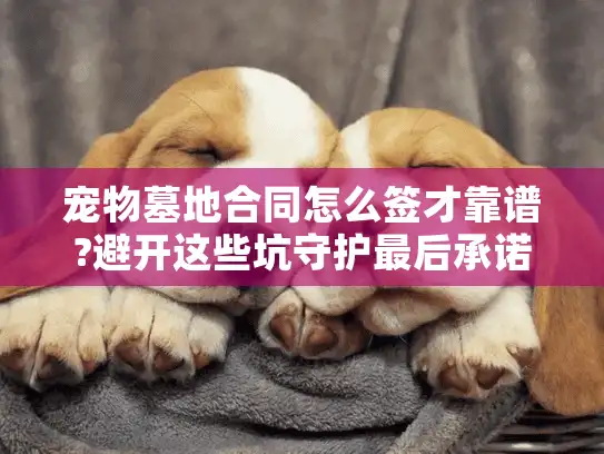宠物墓地合同怎么签才靠谱?避开这些坑守护最后承诺
