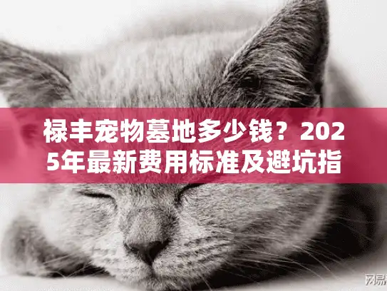 禄丰宠物墓地多少钱？2025年最新费用标准及避坑指南