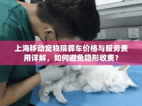 上海移动宠物殡葬车价格与服务费用详解，如何避免隐形收费？