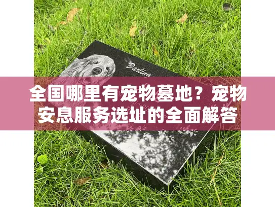 全国哪里有宠物墓地？宠物安息服务选址的全面解答