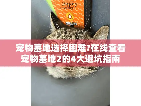 宠物墓地选择困难?在线查看宠物墓地2的4大避坑指南