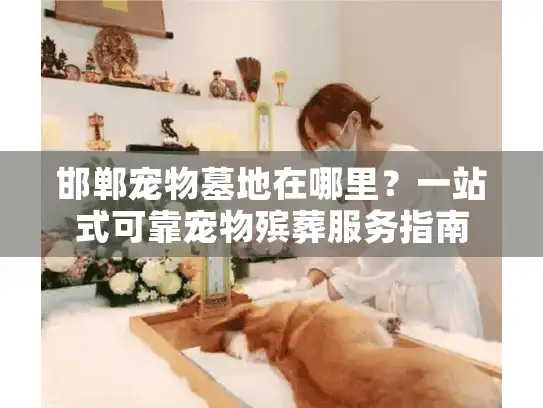 邯郸宠物墓地在哪里？一站式可靠宠物殡葬服务指南
