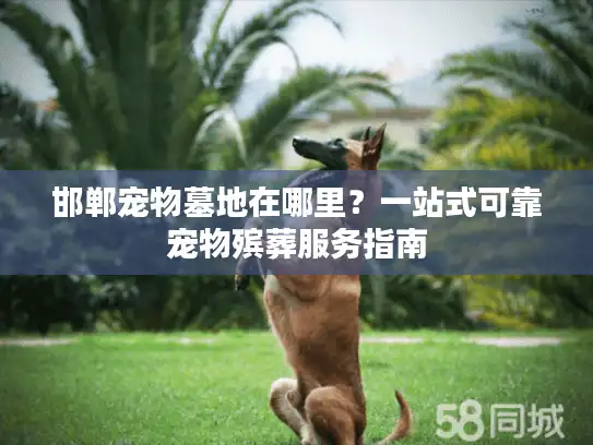 邯郸宠物墓地在哪里？一站式可靠宠物殡葬服务指南