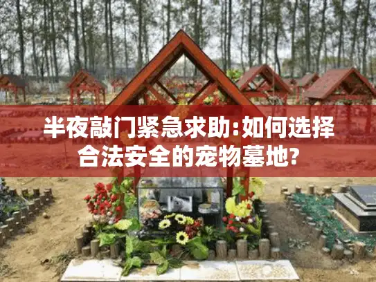 半夜敲门紧急求助:如何选择合法安全的宠物墓地?