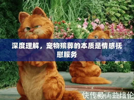 深度理解，宠物殡葬的本质是情感抚慰服务