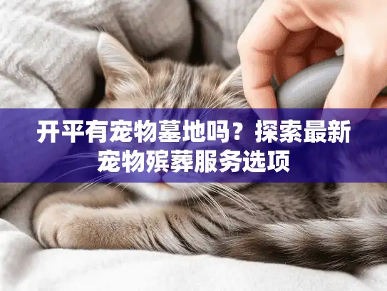 开平有宠物墓地吗？探索最新宠物殡葬服务选项
