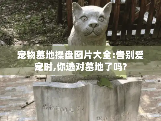 宠物墓地操盘图片大全:告别爱宠时,你选对墓地了吗?