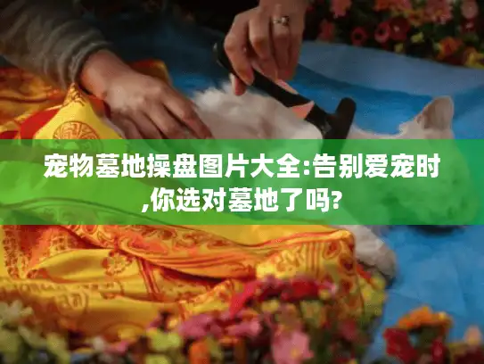 宠物墓地操盘图片大全:告别爱宠时,你选对墓地了吗?