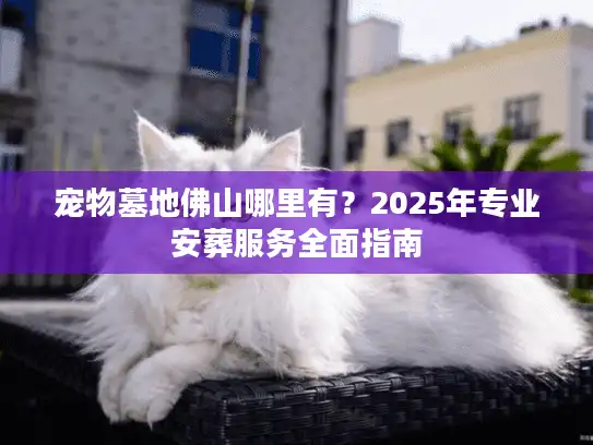 宠物墓地佛山哪里有？2025年专业安葬服务全面指南