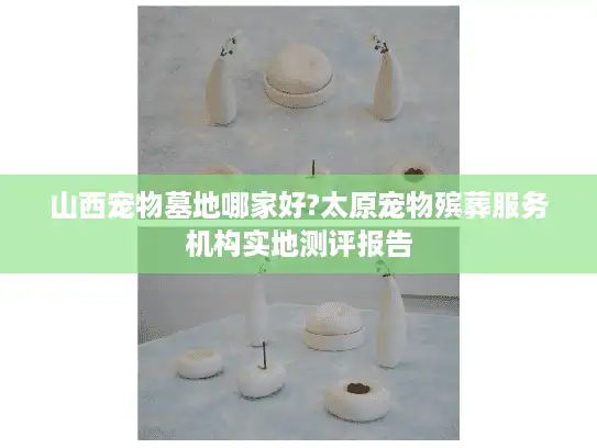 山西宠物墓地哪家好?太原宠物殡葬服务机构实地测评报告